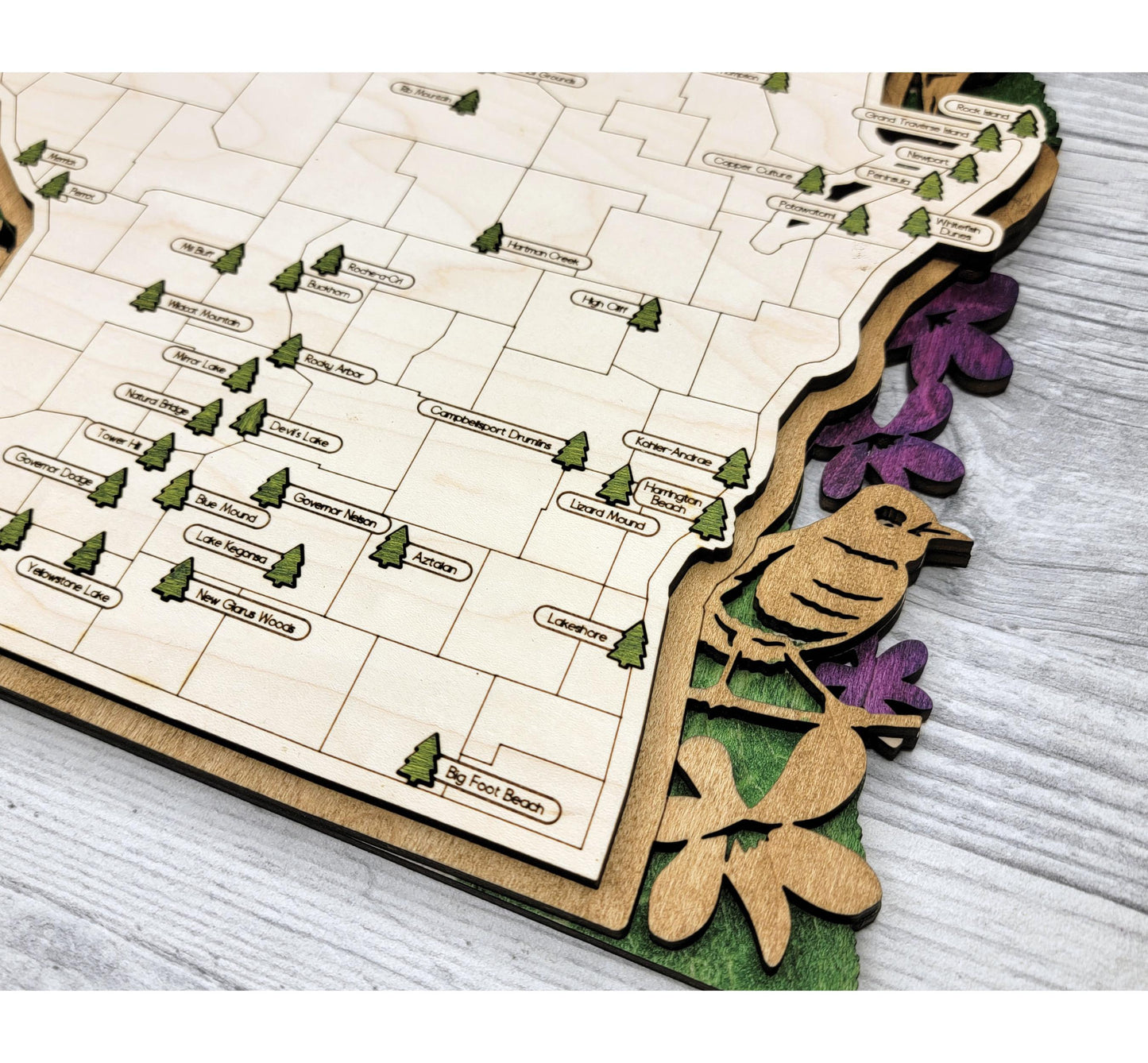 Wisconsin State Park Tracker Map – 12x20 Engraved Wood Wall Art | Personalized Nature Gift, Handmade in Ohio
