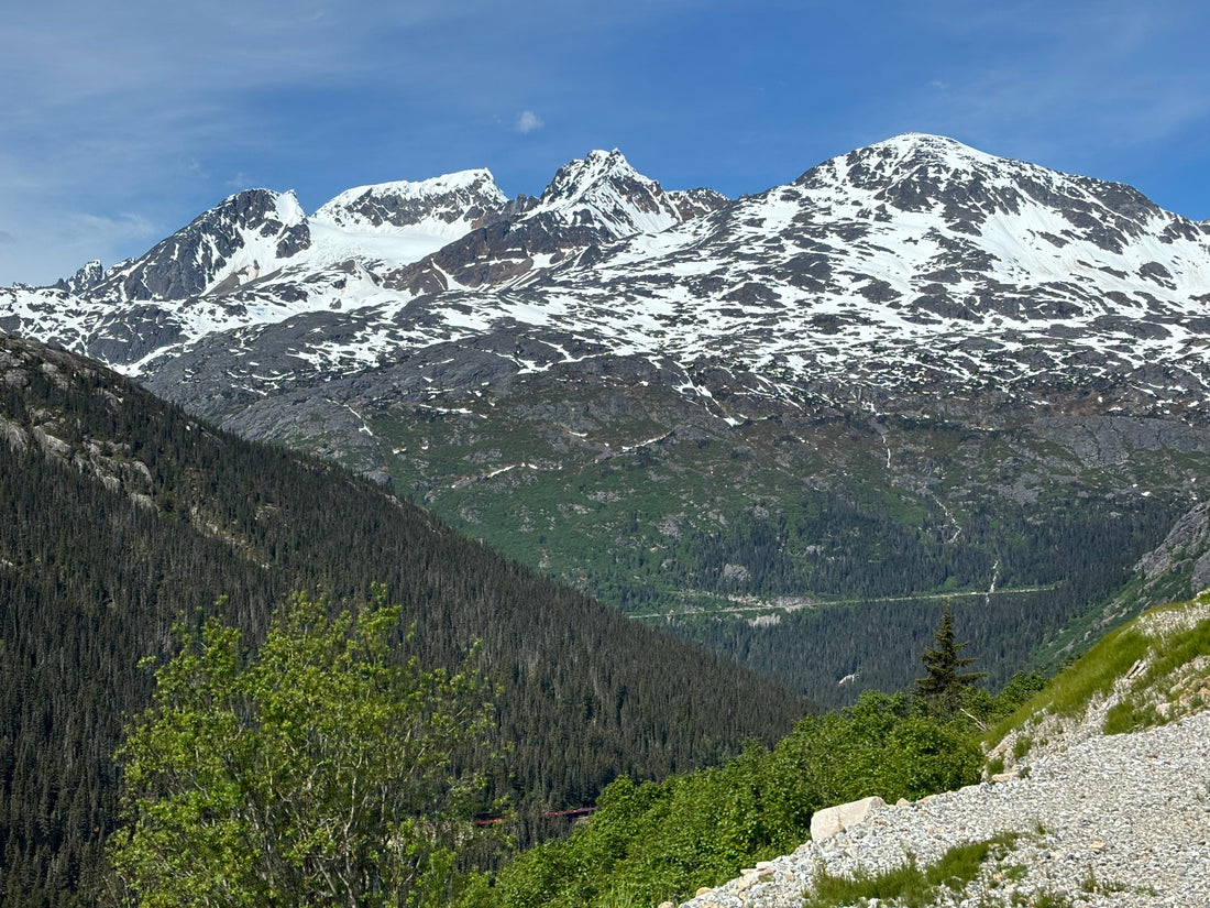 Alaska glacier viewed during an Alaska cruise adventure