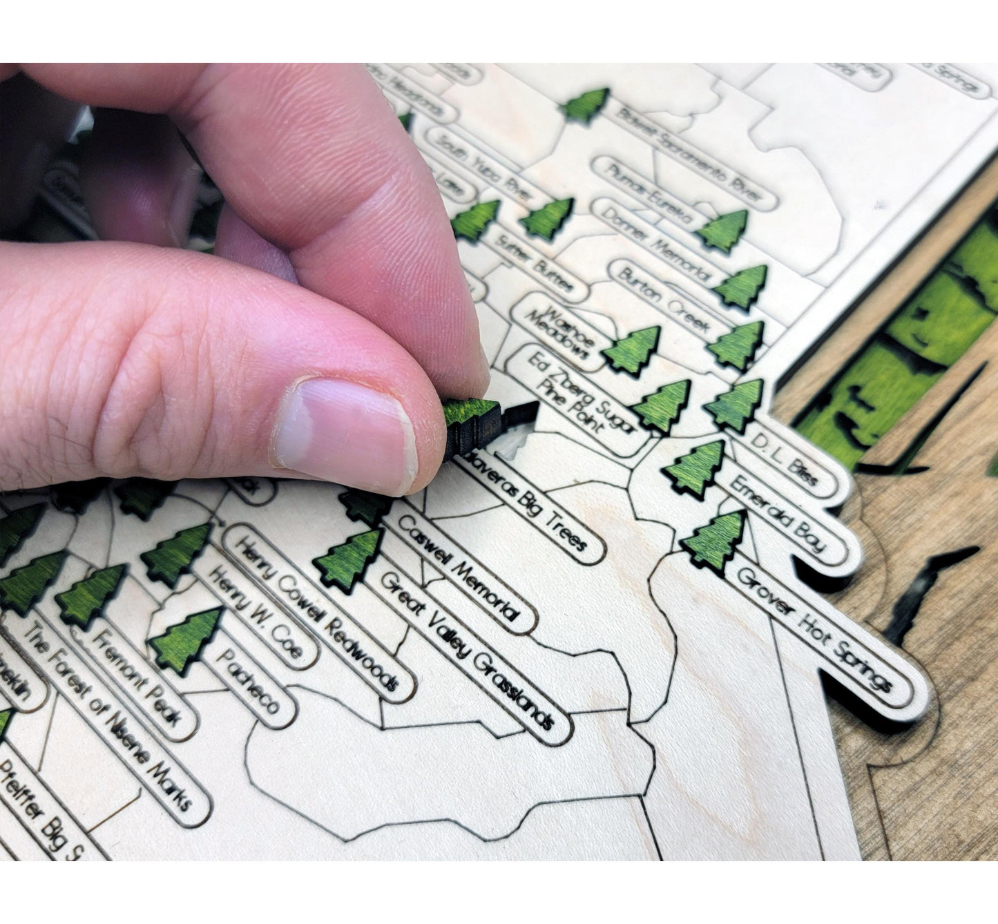 California State Park Tracker Map – 12x20 Engraved Wood Wall Art | Personalized Gift for Nature Lovers, Handmade in Ohio