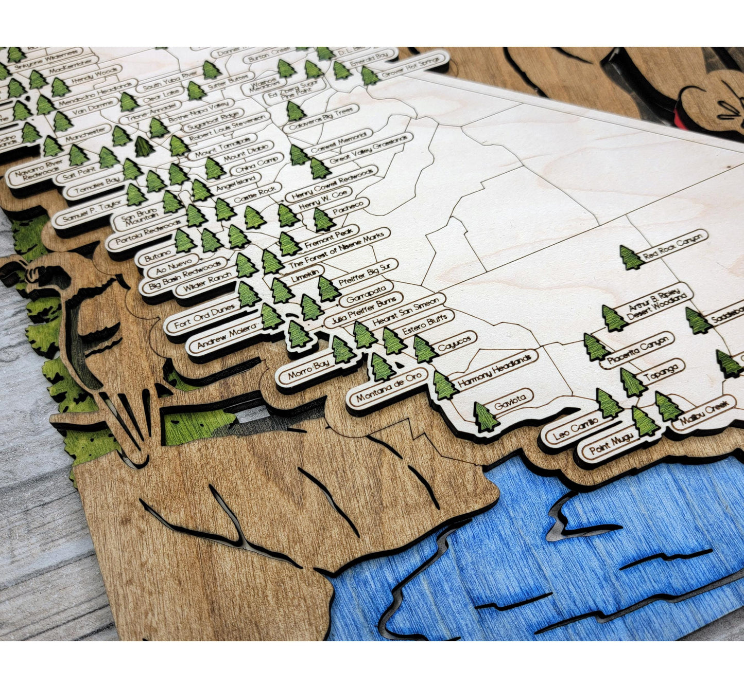 California State Park Tracker Map – 12x20 Engraved Wood Wall Art | Personalized Gift for Nature Lovers, Handmade in Ohio
