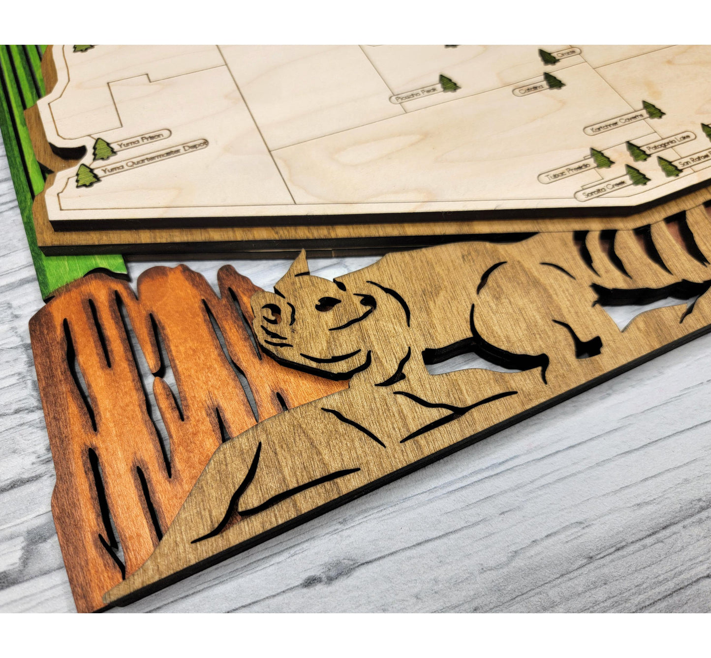 Wooden Arizona State Park map hanging on wall, rustic engraved travel and adventure decor