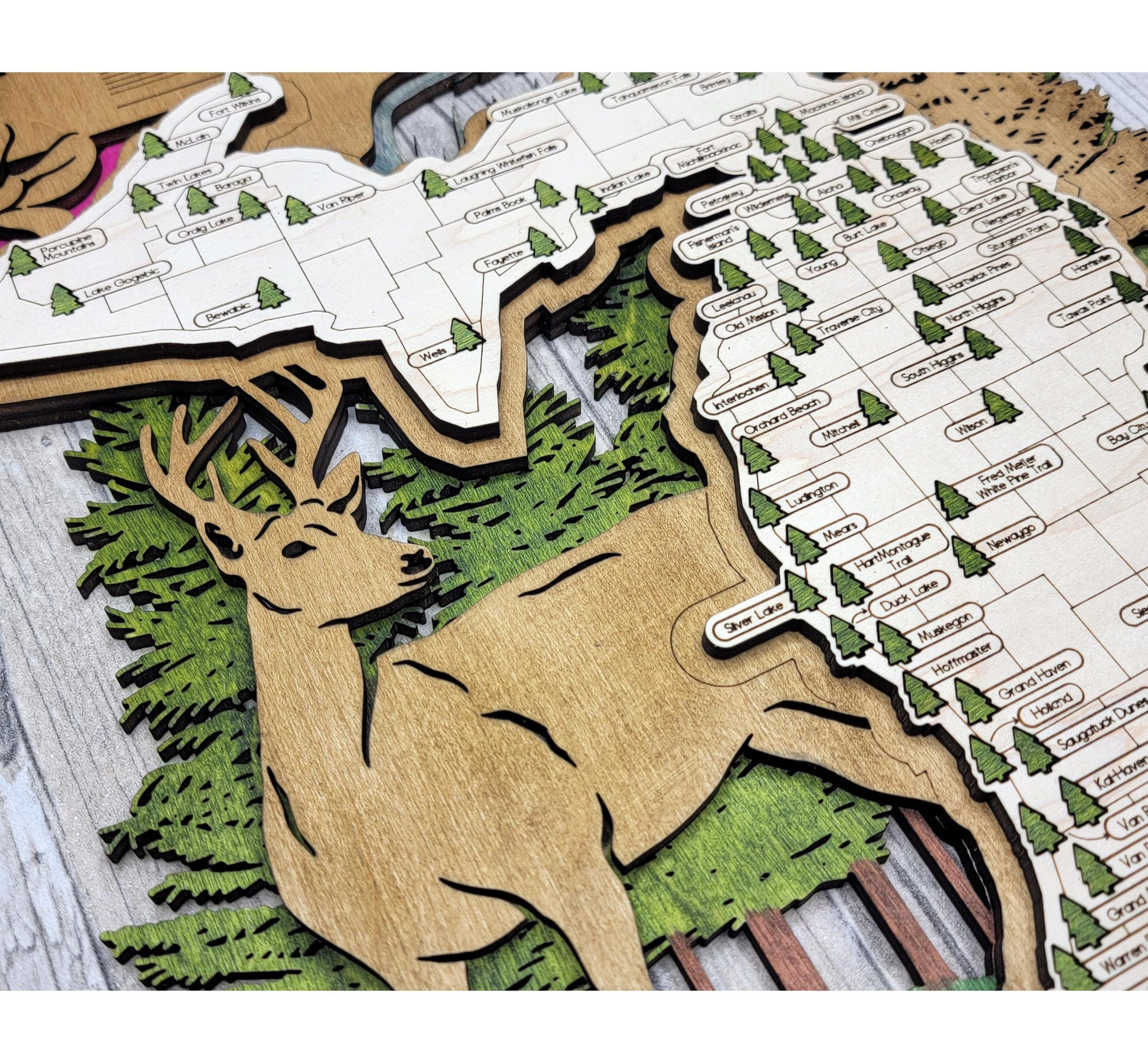 Personalized Wisconsin State Parks Map | WI Travel Tracker | Hiking & Camping Gift | Wisconsin Gift for Her | Wisconsin Wall Art