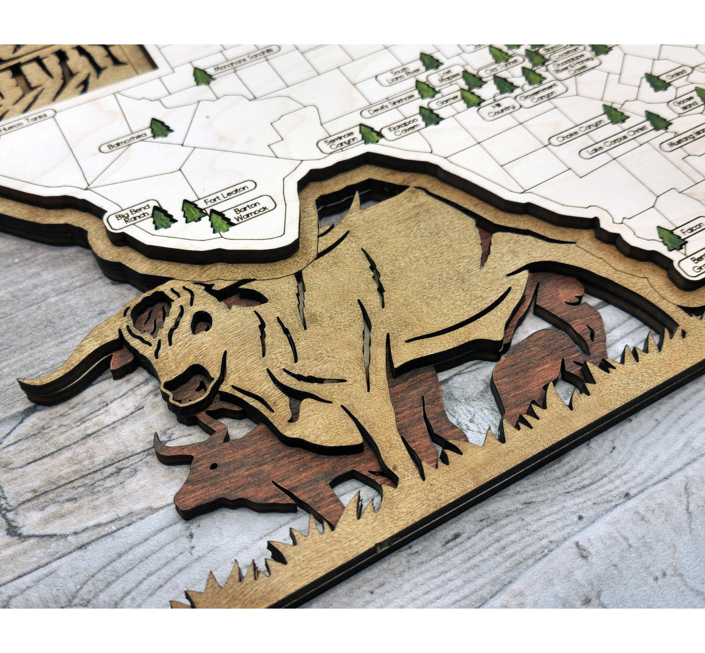 Texas State Park travel map, engraved wood wall art, rustic adventure decor for travelers