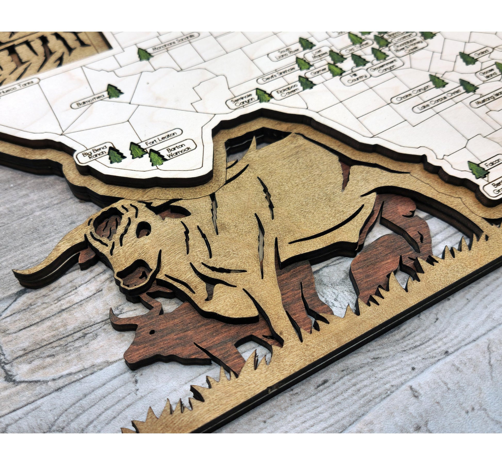 Texas State Park travel map, engraved wood wall art, rustic adventure decor for travelers