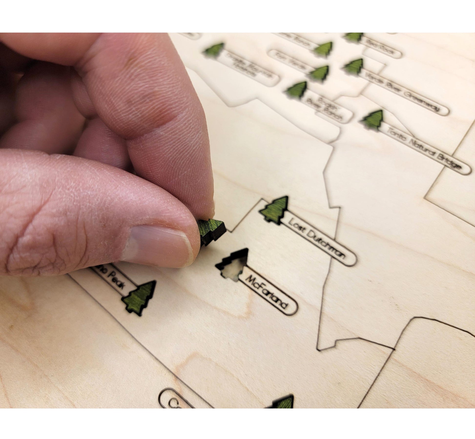 Detailed engraved Arizona  State Park map, laser cut wooden wall art for outdoor and nature lovers with tree icons