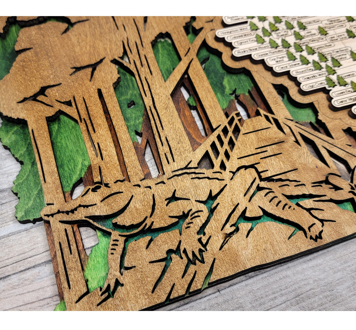 Wooden Florida State Park map hanging on wall, rustic engraved travel and adventure decor