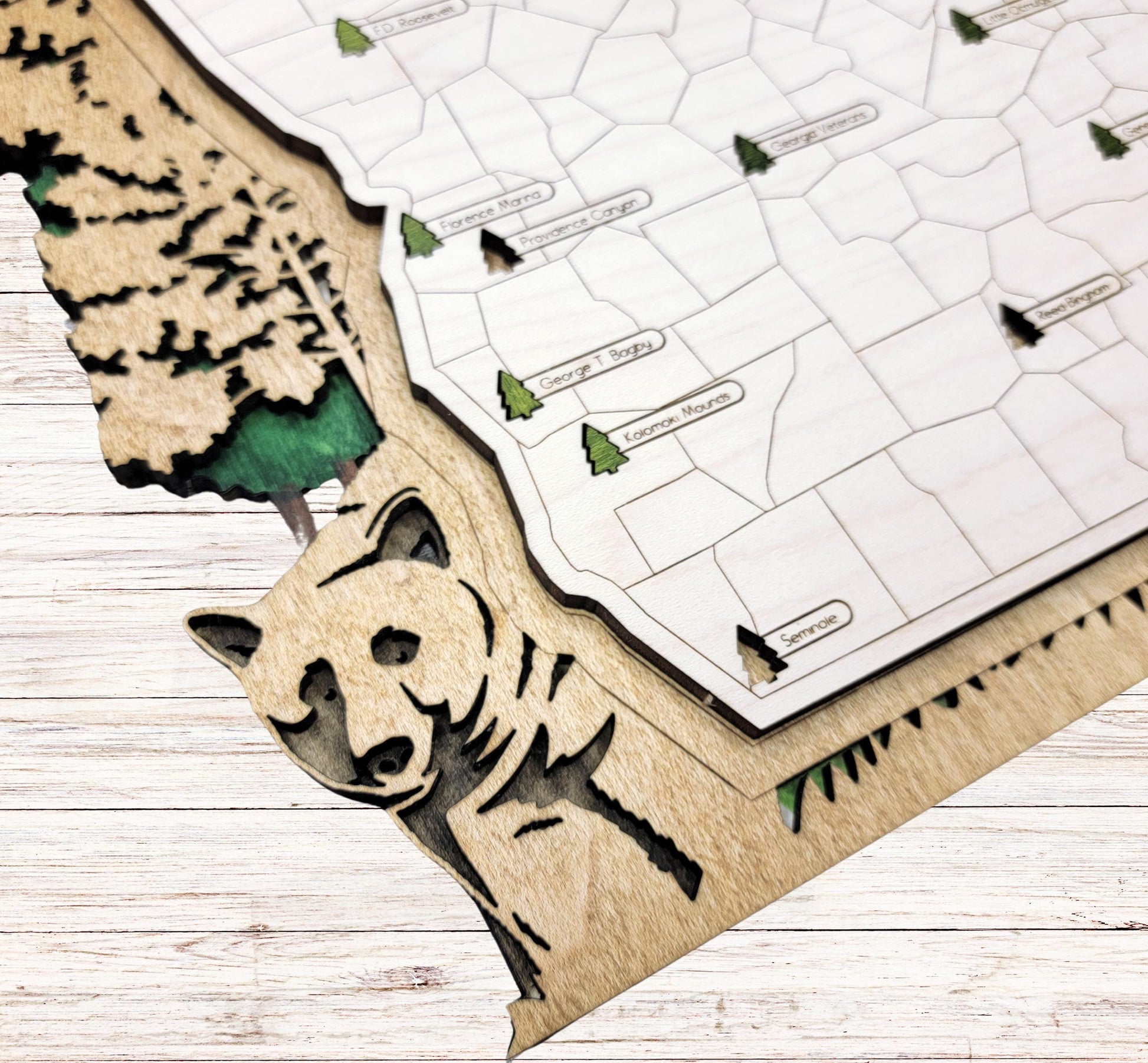 Custom engraved Georgia State Park travel map gift, wooden wall art for national and state park lovers and campers