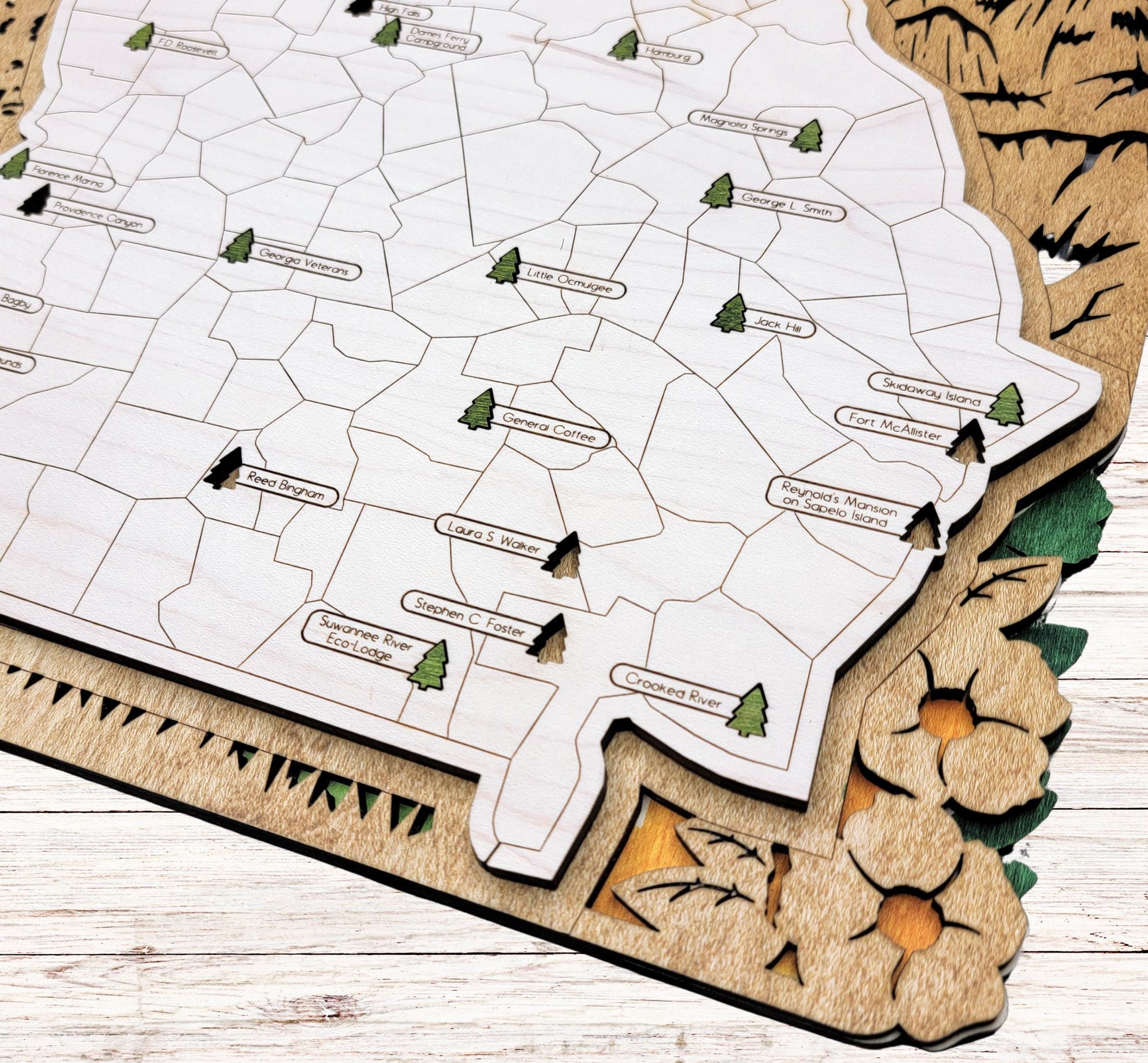 Wooden Georgia State Park map hanging on wall, rustic engraved travel and adventure decor