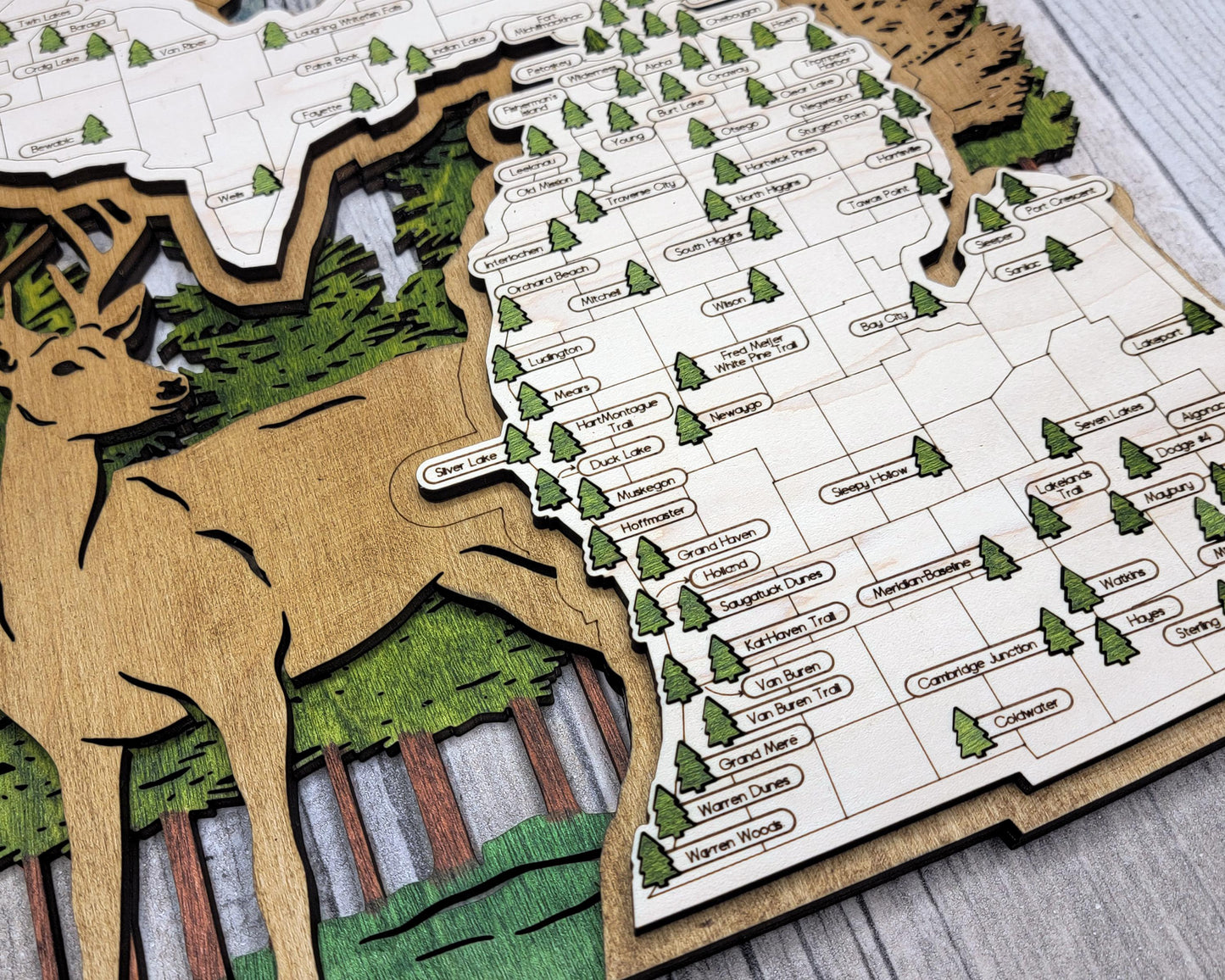 Personalized Michigan State Parks Map | MI Travel Tracker | Hiking & Camping Gift | Michigan Gift for Her | Michigan Wall Art