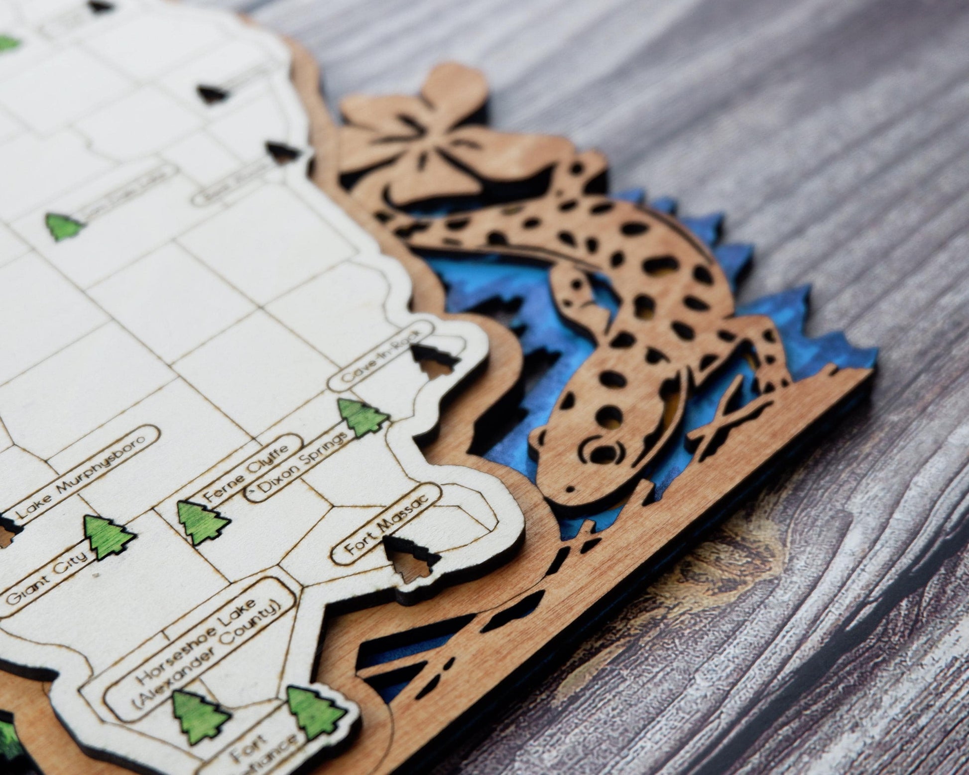 Personalized Illinois State Parks Map | IL Travel Tracker | Layered Wood Adventure Keepsake | Hiking & Camping Gift | Illinois Wall Art