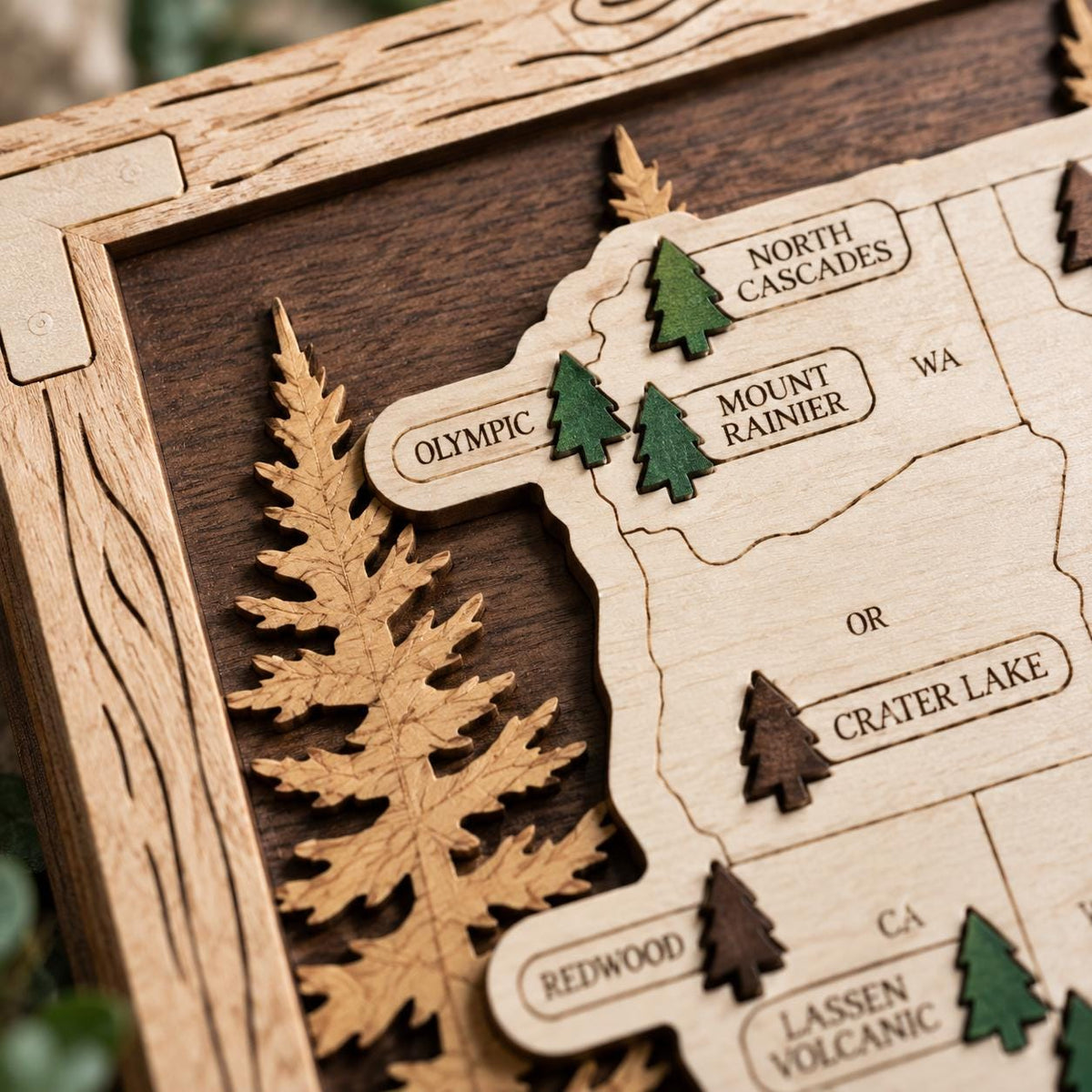 National Park Map Tracker, Visited Parks Wall Art, Travel Gift for Hikers, National Parks Checklist Adventure Map